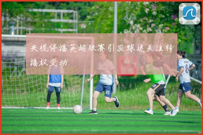 央视停播英超联赛引发球迷关注转播权变动