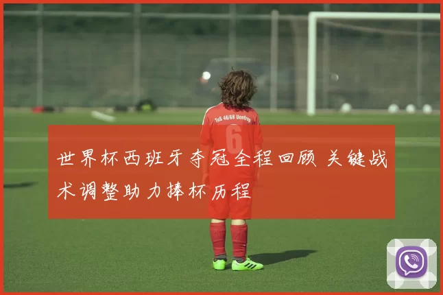 世界杯西班牙夺冠全程回顾 关键战术调整助力捧杯历程