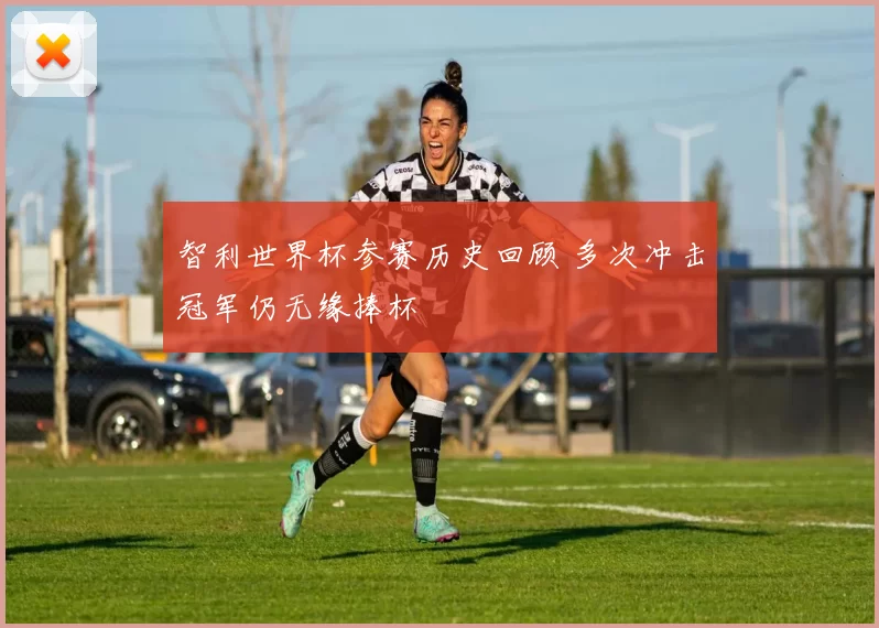 智利世界杯参赛历史回顾 多次冲击冠军仍无缘捧杯